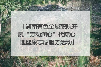 湖南有色金属职院开展“劳动润心”代际心理健康志愿服务活动