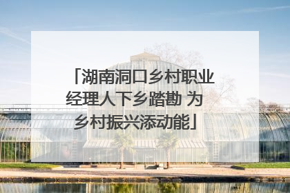 湖南洞口乡村职业经理人下乡踏勘 为乡村振兴添动能