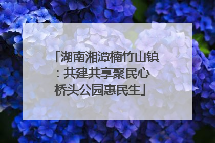 湖南湘潭楠竹山镇:共建共享聚民心 桥头公园惠民生