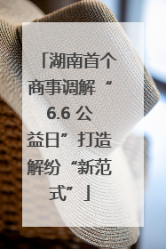 湖南首个商事调解“6.6 公益日”打造解纷“新范式”