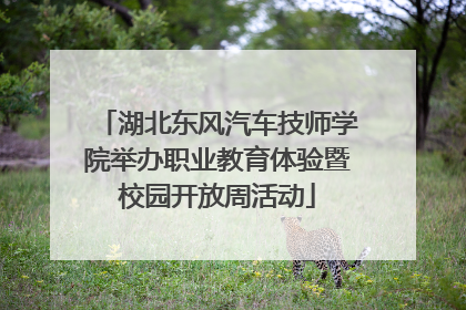 湖北东风汽车技师学院举办职业教育体验暨校园开放周活动