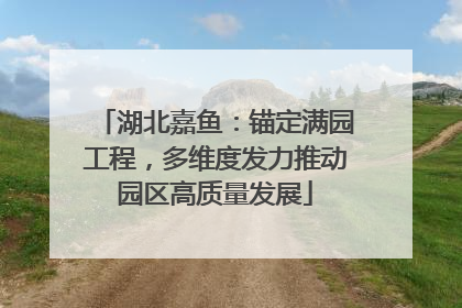 湖北嘉鱼：锚定满园工程，多维度发力推动园区高质量发展