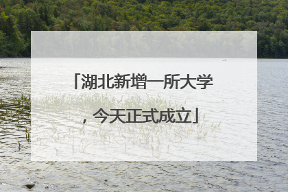 湖北新增一所大学，今天正式成立