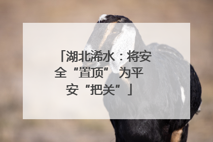 湖北浠水：将安全“置顶” 为平安“把关”