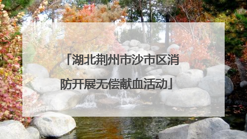 湖北荆州市沙市区消防开展无偿献血活动