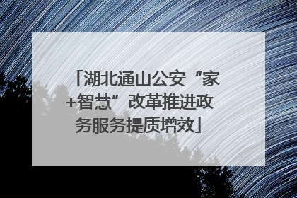 湖北通山公安“家+智慧”改革推进政务服务提质增效