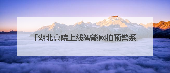 湖北高院上线智能网拍预警系统，打造司法拍卖“防火墙”