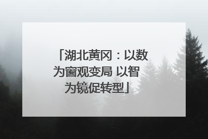 湖北黄冈：以数为窗观变局 以智为镜促转型