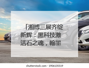 湘博三展齐绽新辉：黑科技激活石之魂，翰墨金影共谱文化遗产日华章
