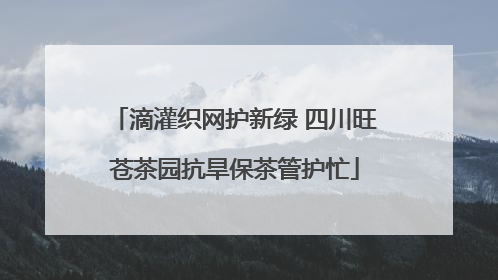 滴灌织网护新绿 四川旺苍茶园抗旱保茶管护忙