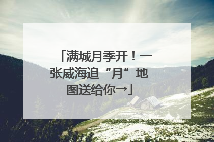 满城月季开！一张威海追“月”地图送给你→