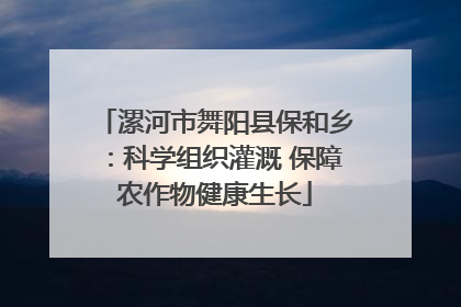 漯河市舞阳县保和乡：科学组织灌溉 保障农作物健康生长