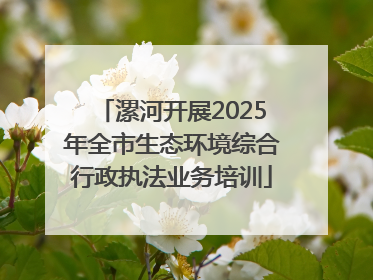 漯河开展2025年全市生态环境综合行政执法业务培训