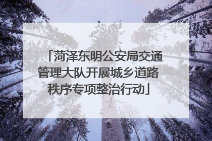 菏泽东明公安局交通管理大队开展城乡道路秩序专项整治行动