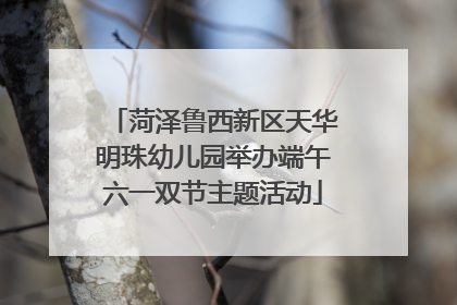菏泽鲁西新区天华明珠幼儿园举办端午六一双节主题活动