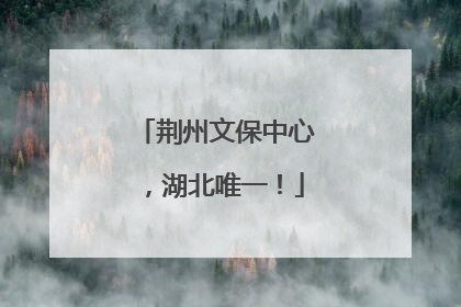 荆州文保中心，湖北唯一！