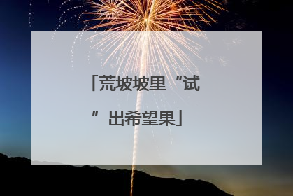 荒坡坡里“试”出希望果