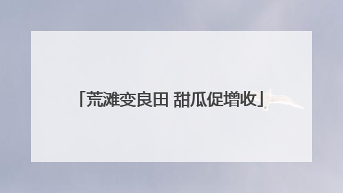 荒滩变良田 甜瓜促增收