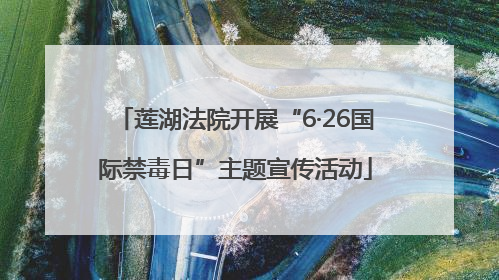 莲湖法院开展“6·26国际禁毒日”主题宣传活动