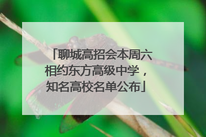 聊城高招会本周六相约东方高级中学，知名高校名单公布