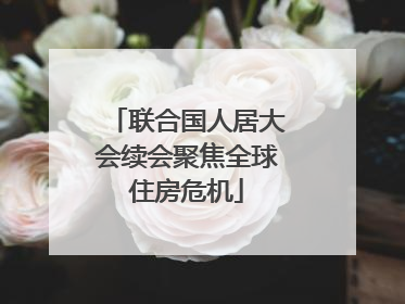 联合国人居大会续会聚焦全球住房危机