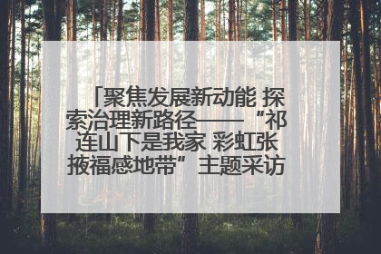 聚焦发展新动能 探索治理新路径——“祁连山下是我家 彩虹张掖福感地带”主题采访活动走进山丹