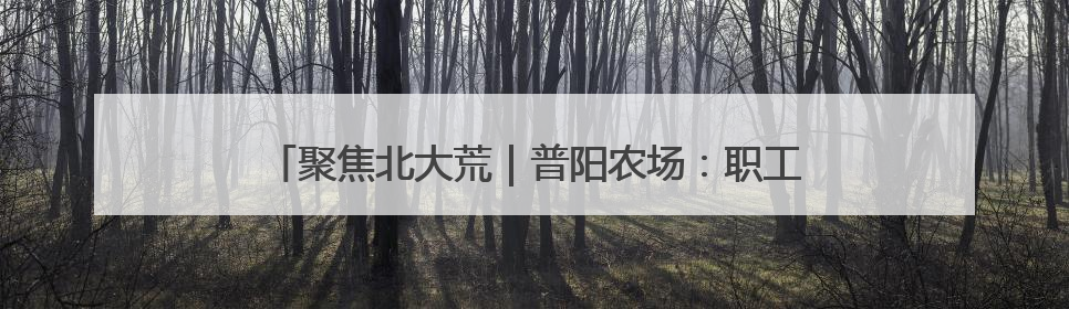 聚焦北大荒｜普阳农场：职工对话会凝聚奋进“强磁场”
