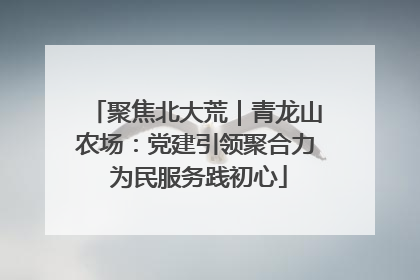 聚焦北大荒｜青龙山农场：党建引领聚合力 为民服务践初心
