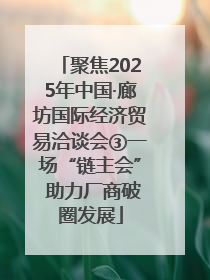 聚焦2025年中国·廊坊国际经济贸易洽谈会③一场“链主会” 助力厂商破圈发展