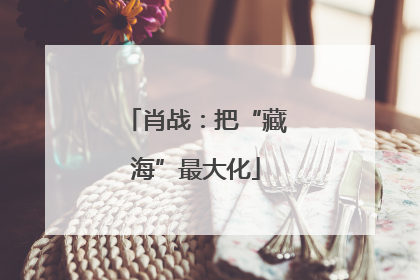 肖战：把“藏海”最大化