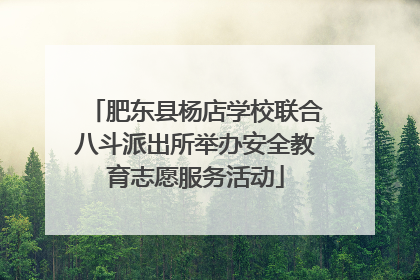 肥东县杨店学校联合八斗派出所举办安全教育志愿服务活动