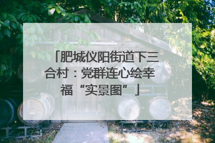 肥城仪阳街道下三合村：党群连心绘幸福“实景图”