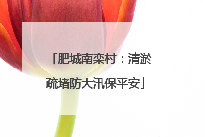 肥城南栾村：清淤疏堵防大汛保平安