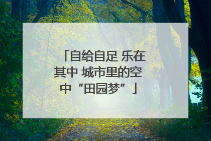 自给自足 乐在其中 城市里的空中“田园梦”