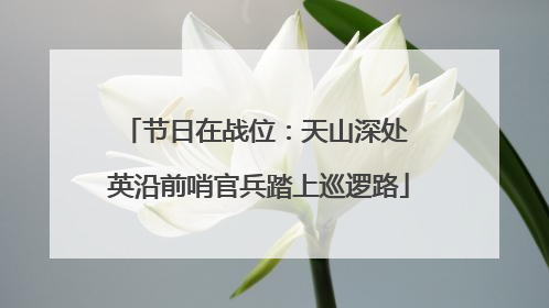 节日在战位：天山深处 英沿前哨官兵踏上巡逻路