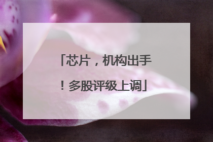 芯片，机构出手！多股评级上调