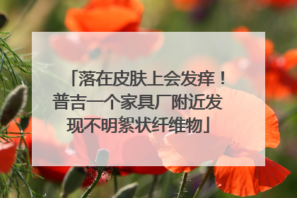 落在皮肤上会发痒！普吉一个家具厂附近发现不明絮状纤维物