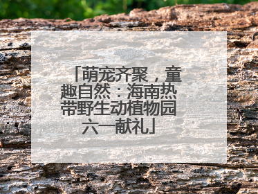 萌宠齐聚，童趣自然：海南热带野生动植物园六一献礼