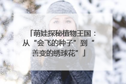 萌娃探秘植物王国：从“会飞的种子”到“善变的绣球花”
