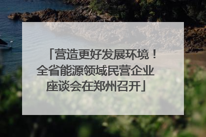 营造更好发展环境！全省能源领域民营企业座谈会在郑州召开