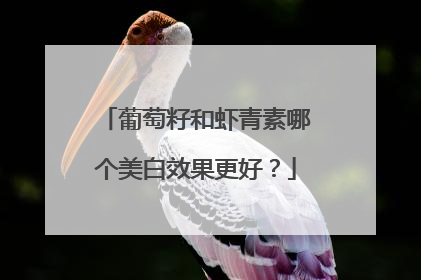 葡萄籽和虾青素哪个美白效果更好？