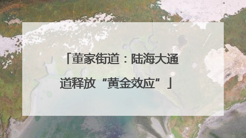 董家街道：陆海大通道释放“黄金效应”
