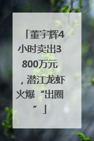董宇辉4小时卖出3800万元，潜江龙虾火爆“出圈”