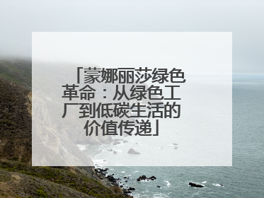 蒙娜丽莎绿色革命：从绿色工厂到低碳生活的价值传递