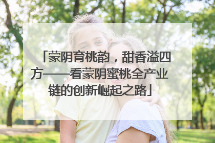 蒙阴育桃韵，甜香溢四方——看蒙阴蜜桃全产业链的创新崛起之路
