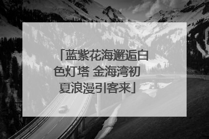 蓝紫花海邂逅白色灯塔 金海湾初夏浪漫引客来