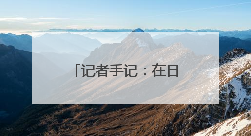 记者手记：在日照港，感受“港强、产旺、城绿”的发展脉动