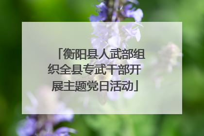 衡阳县人武部组织全县专武干部开展主题党日活动