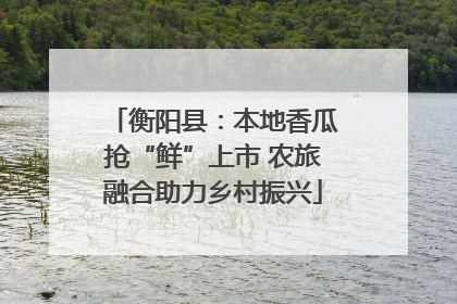 衡阳县：本地香瓜抢“鲜”上市 农旅融合助力乡村振兴