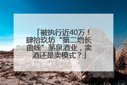 被执行近40万！肆拾玖坊“第二增长曲线”茅泉酒业，卖酒还是卖模式？